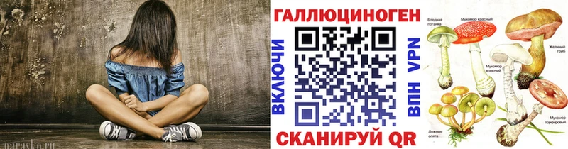 Купить закладки  Щучье  Галлюциногенные грибы Psilocybe 