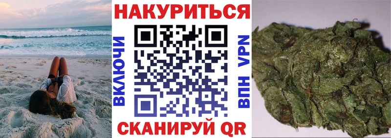 Купить  Щучье  Бошки Шишки планчик 